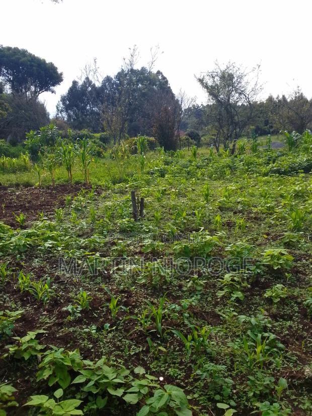 1⁄4 Kinyogori - main view