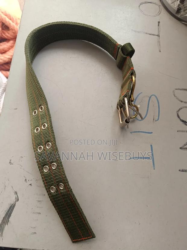 Dog Collar