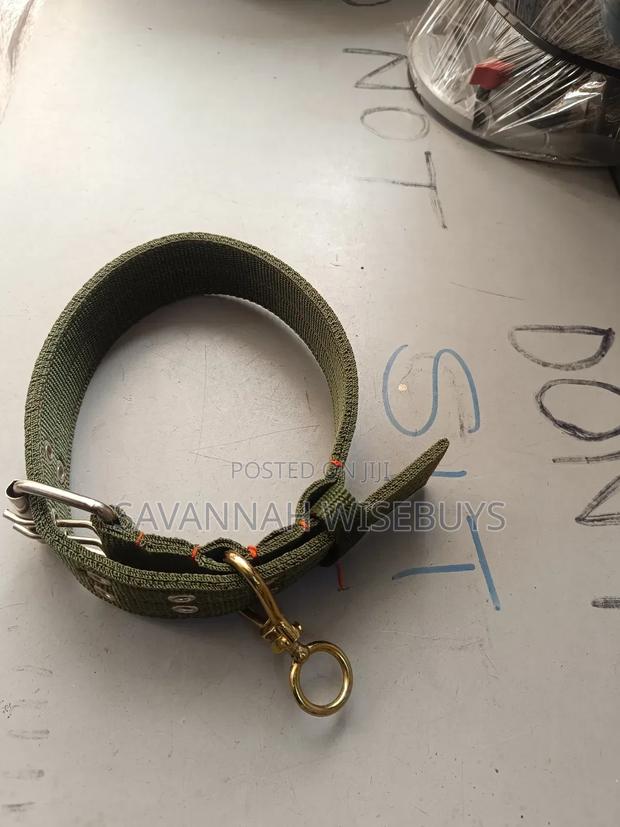 Dog Collar - thumbnail 3