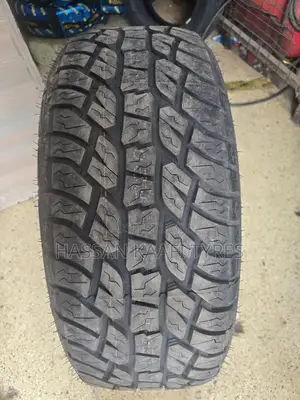 285/55r20 Grenlander at Tyre