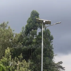 Galvanized Steel Lighting Poles With Custom Brackets