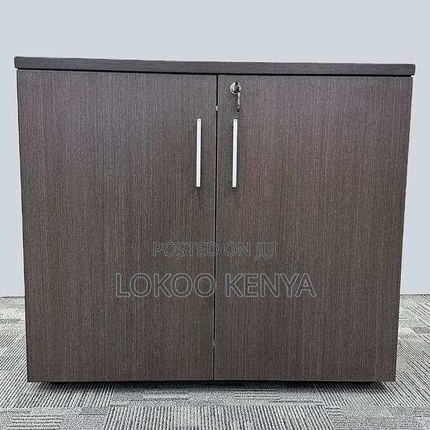 Office Cabinet : 2-Door Wooden Swing Office Cabinet