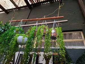 Hanging Flowers Restaurant Roof Decor