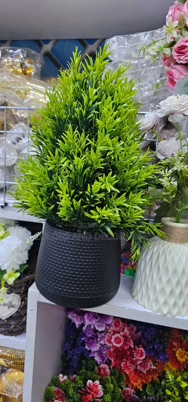 Green Bonsai in Black Vase