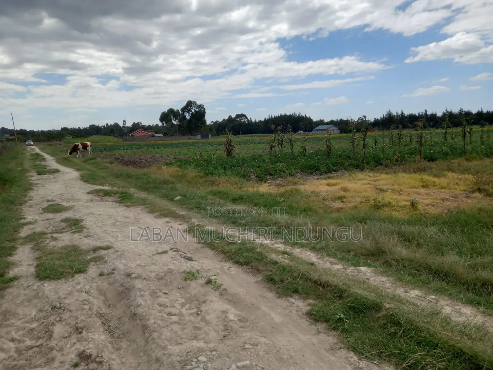 Land for Sale