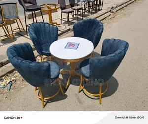 Styling Seats With Black Lining