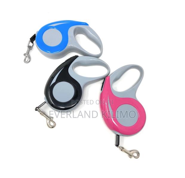 Durable Automatic Retractable Leash - main view