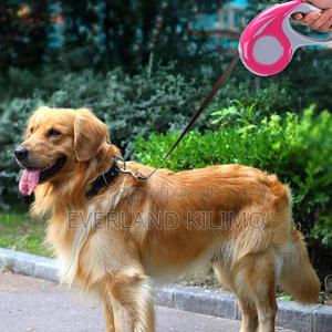 Colourful Retractable Leash - thumbnail 2