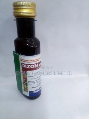 Dizon 60ec - main view