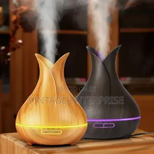 Big Capacity Wooden Humidifier 500ml