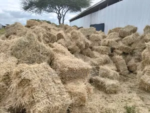 Large Hay Stacks