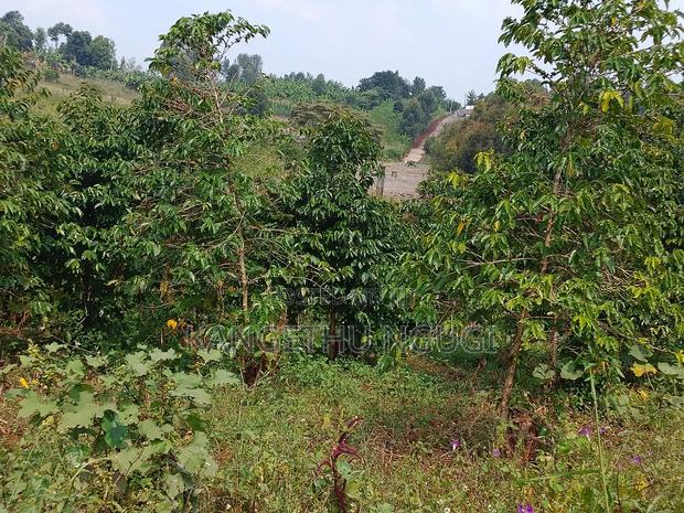 3.5 Acres Tinganga - thumbnail 4