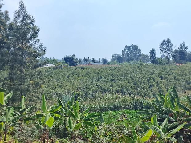 3.5 Acres Tinganga - thumbnail 7