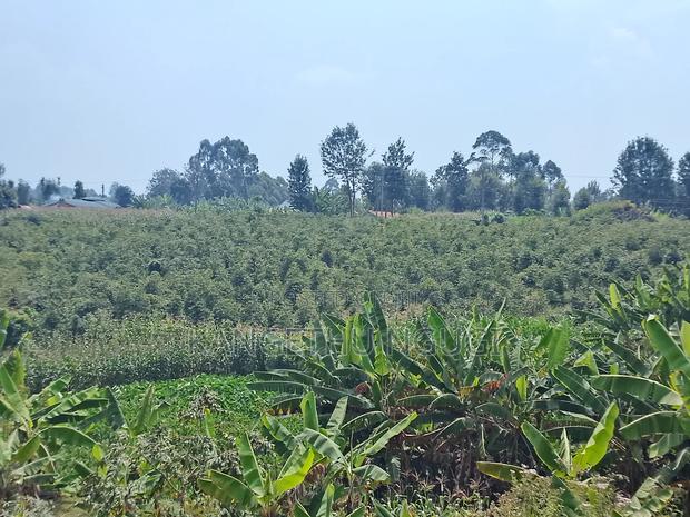 3.5 Acres Tinganga - thumbnail 8