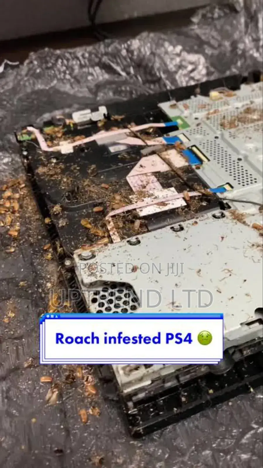 Ps4 Roach Infested Ps4 Cleaning and Disassembly