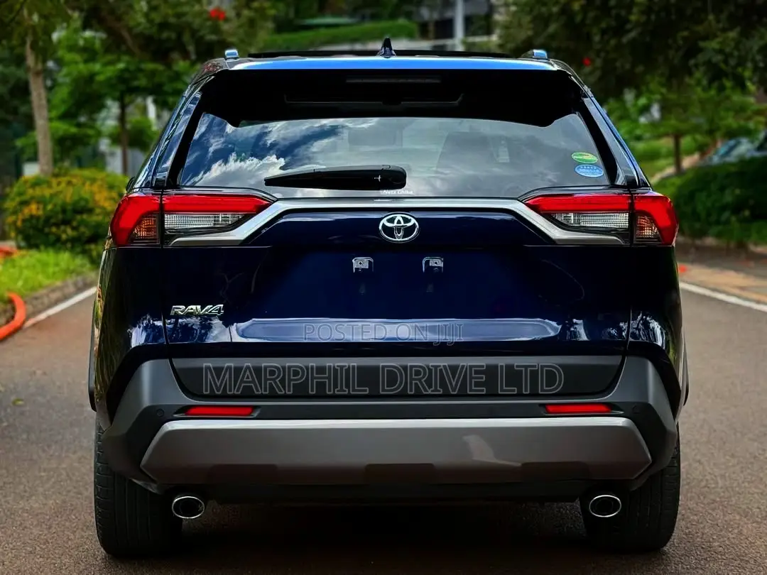 Toyota RAV4 2019 Blue