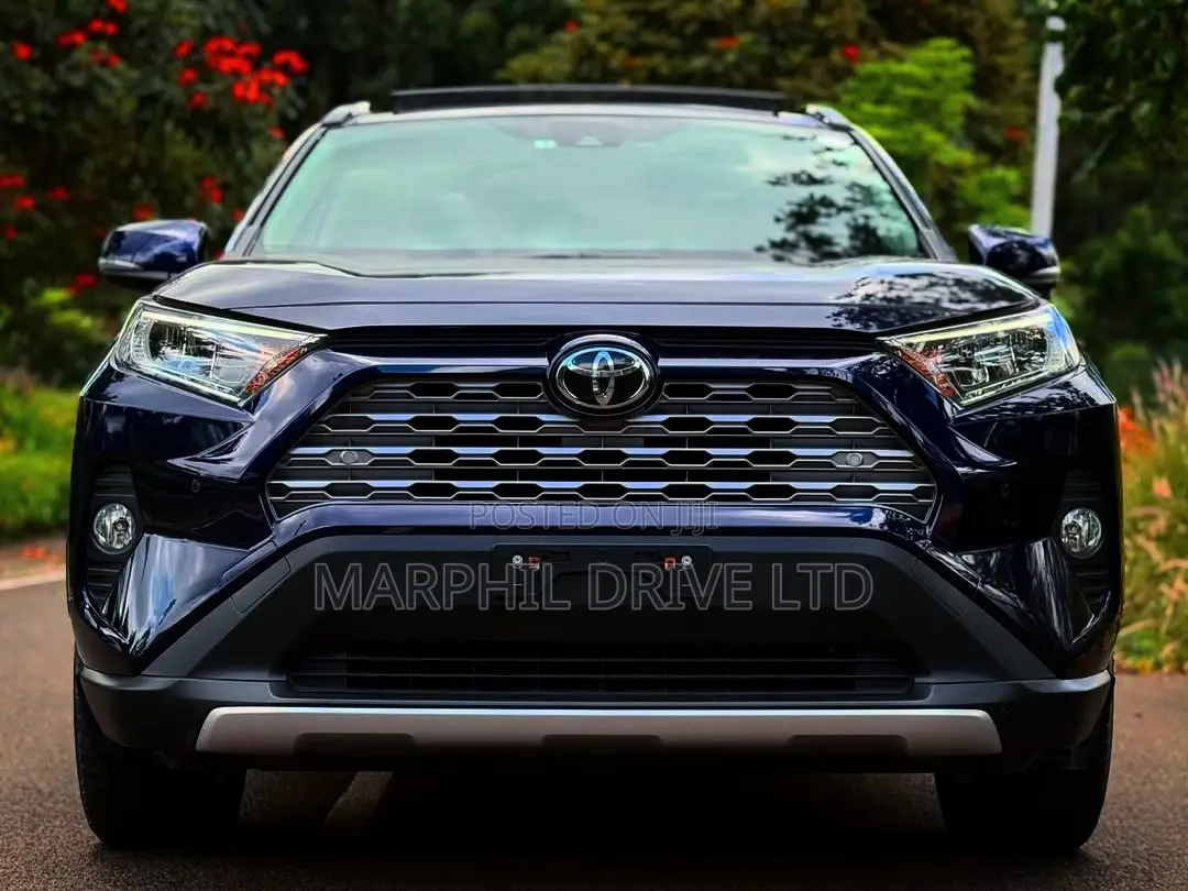 Toyota RAV4 2019 Blue