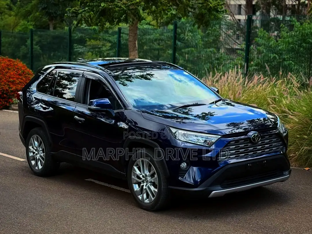 Toyota RAV4 2019 Blue
