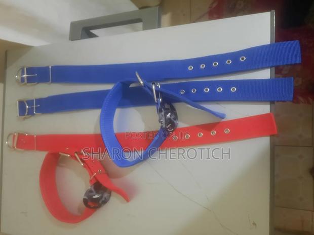 Leather Dog Collar - main view