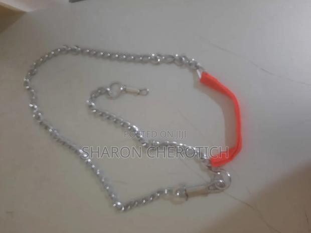 Leather Dog Collar - thumbnail 4