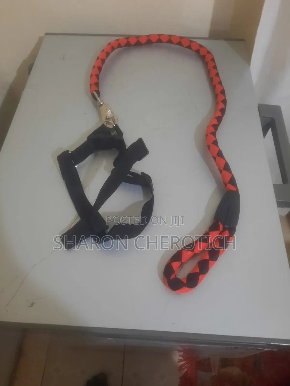 Leather Dog Collar