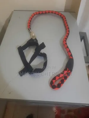 Leather Dog Collar