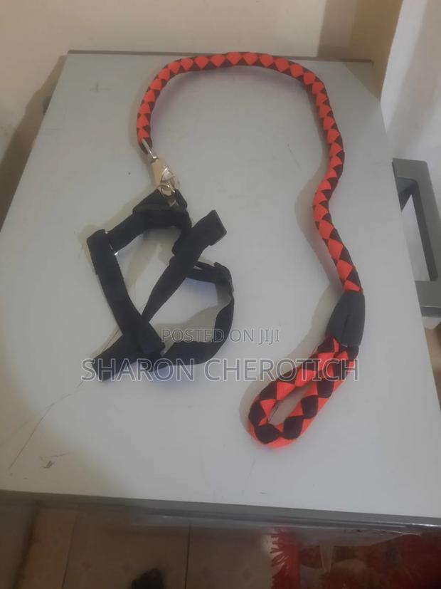 Leather Dog Collar - thumbnail 5