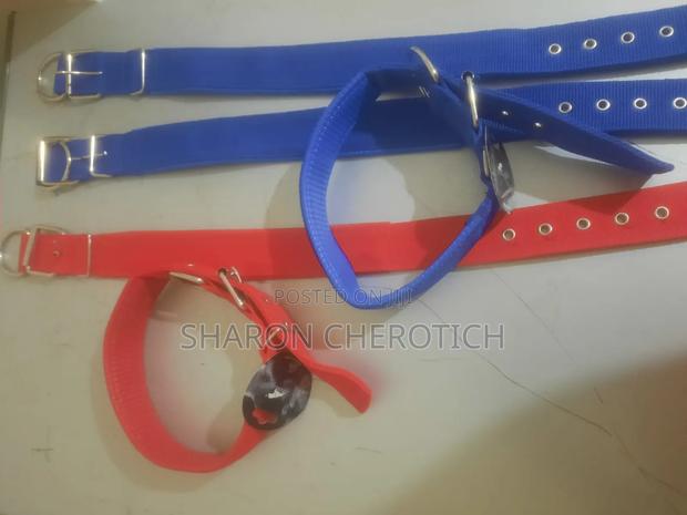 Leather Dog Collar - thumbnail 6