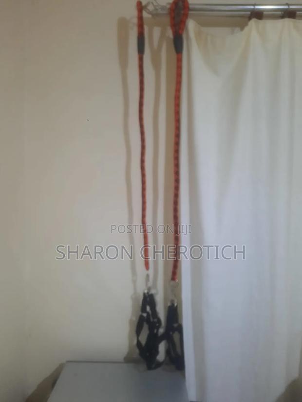 Leather Dog Collar - thumbnail 8