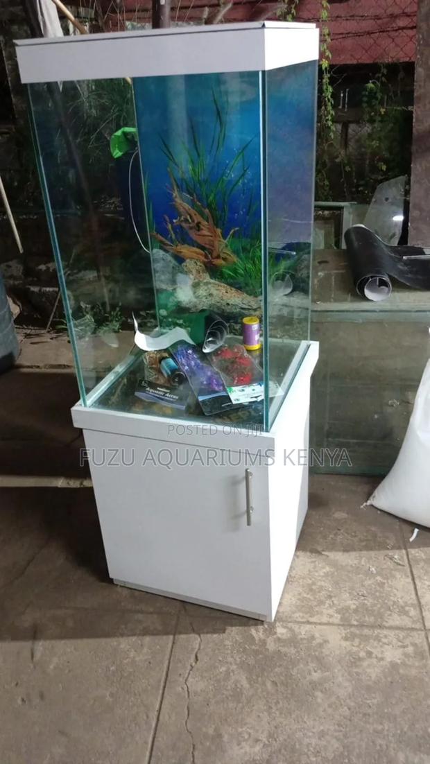 Excellent Tall Aquarium - main view