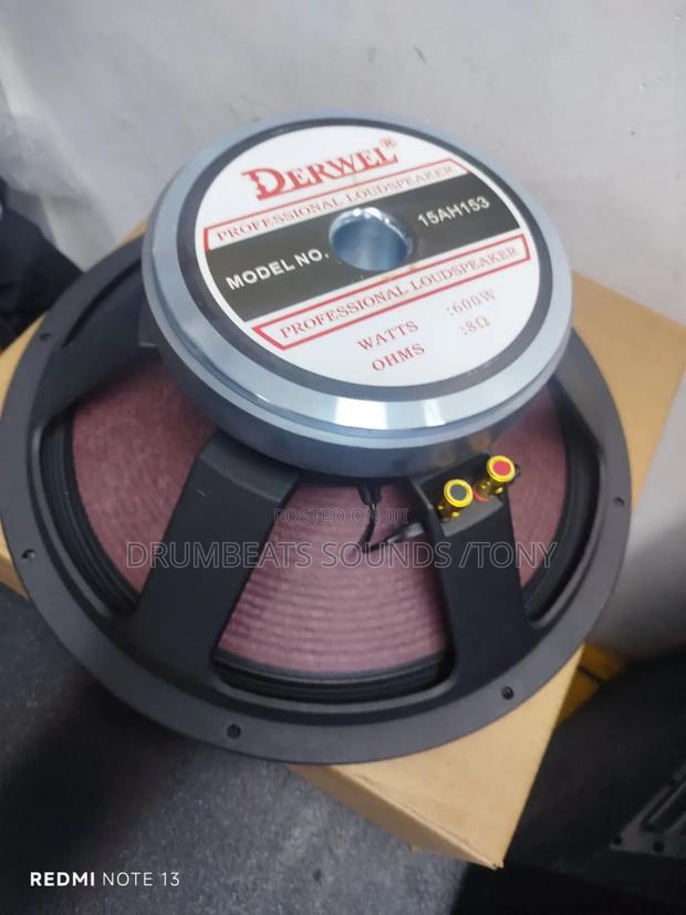 Derwel Speakers 15 Inches (600 -1200 Watts)