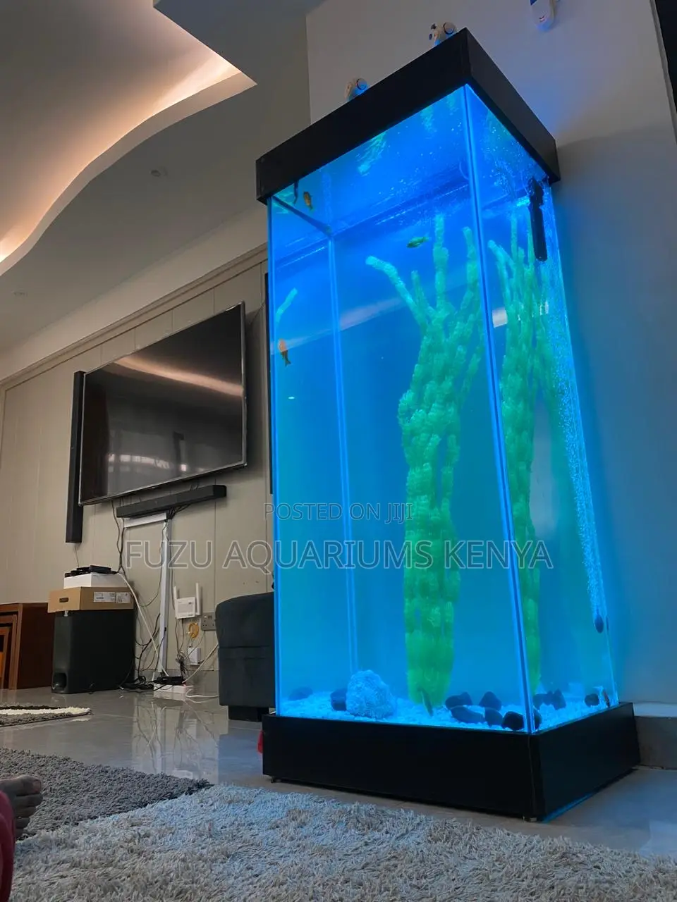 Deluxe 5ft Aquarium – Perfect for Living Rooms