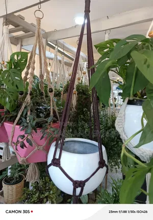 Fibreglass Hanging Pots