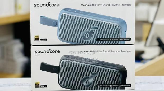 Soundcore Motion 300 Speaker