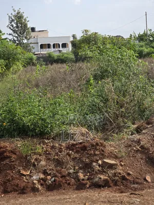 Westwood (Karangaita) 1/2 Acre