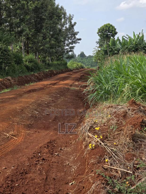 Westwood (Karangaita) 1/2 Acre - thumbnail 2