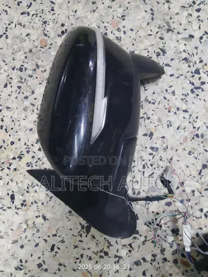 Nissan Juke Side Mirror With Indicator 2012