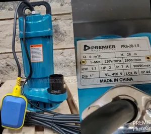 Image Shows A Premier 2hp Pr6-28-1.5 220 Volts Submersible