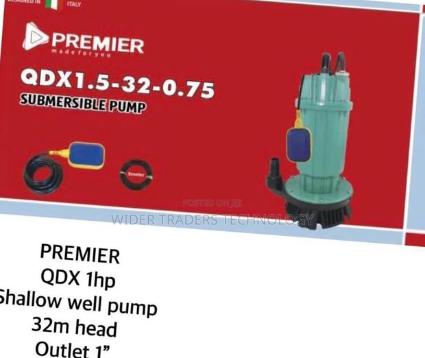 Premier Qdx1.5-32-0.75 Submersible Pump, A 1hp Shallow - main view