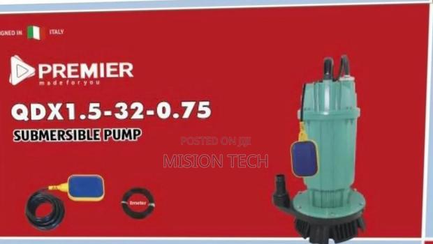 Premier 1hp 32m Lift Electric Submersible Water Pump° 