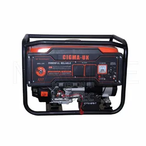 Gasoline Generator