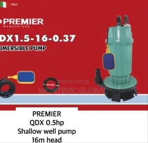 Premier QDX 0.5hp Submersible Water Pump