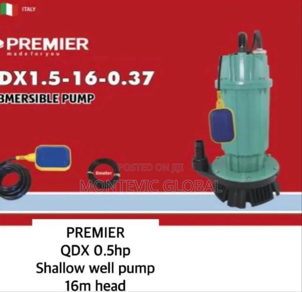 Premier QDX 0.5hp Submersible Water Pump