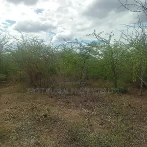 195 Acres Is Available for Sale in Makindu Amref University