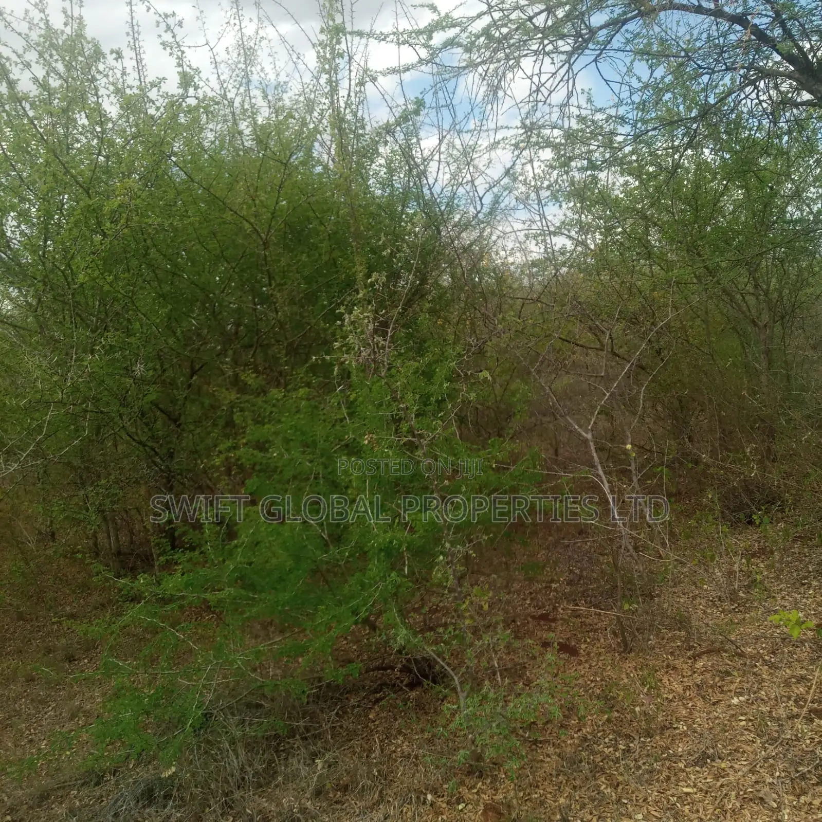 195 Acres Is Available for Sale in Makindu Amref University