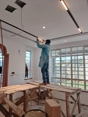 Professional Electrician