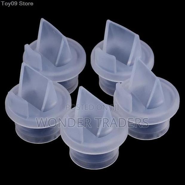 Pump Replacement Valves - main view