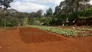 Prime 0.5 Acres for Sale Is in Karura Kanyungu- Kiambu