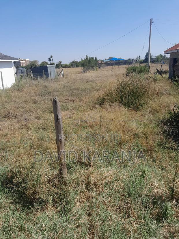 Joska Sunshine 50x100 Plot - thumbnail 4