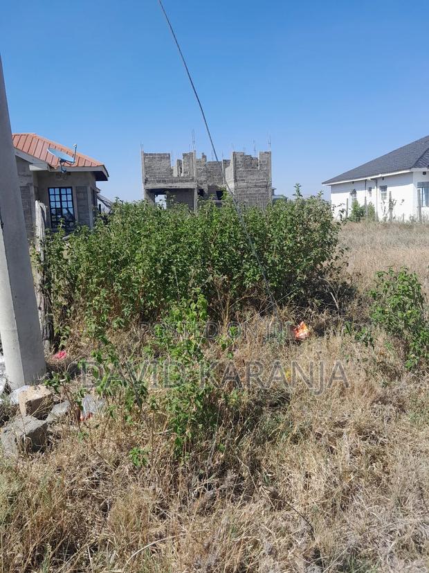 Joska Sunshine 50x100 Plot - thumbnail 5